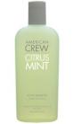 Citrus Mint Active Shampoo