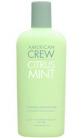 Citrus Mint Cooling Conditioner