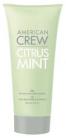 Citrus Mint Hair Gel